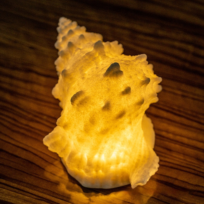 Conch Shell Night Lamp