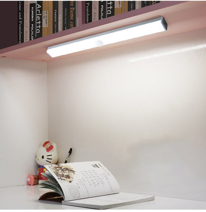 Led body induction light strip light