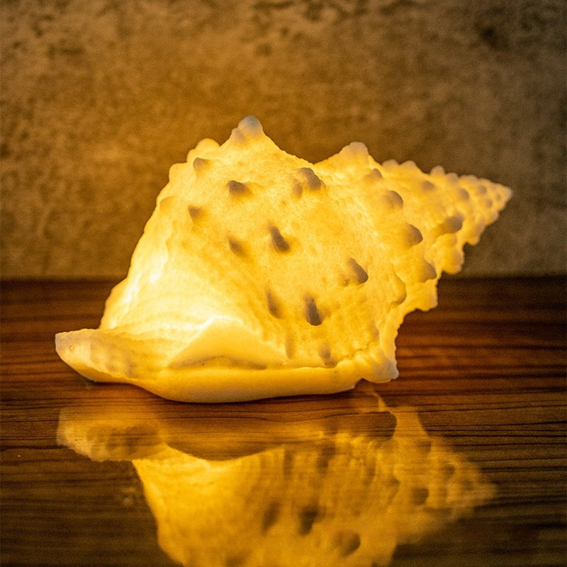 Conch Shell Night Lamp