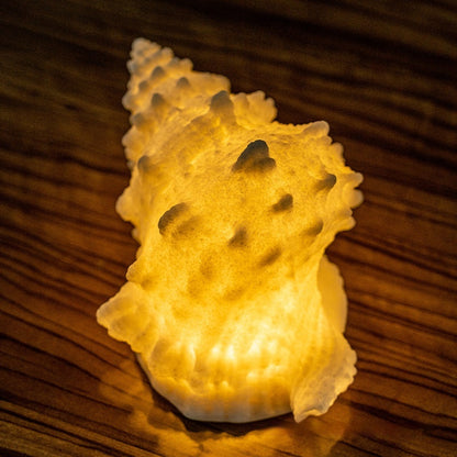 Conch Shell Night Lamp