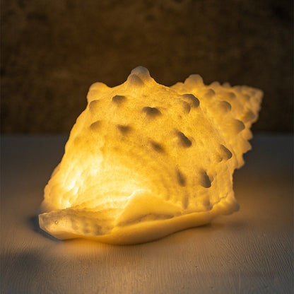 Conch Shell Night Lamp